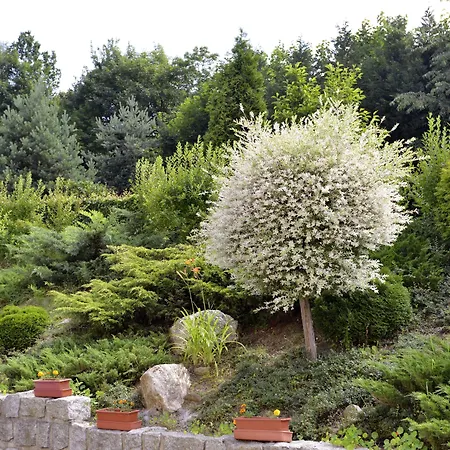 بيت ضيافة Jasmin
