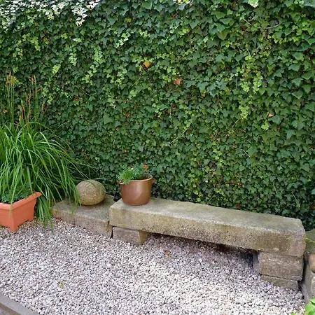 Jasmin 3* Либерц